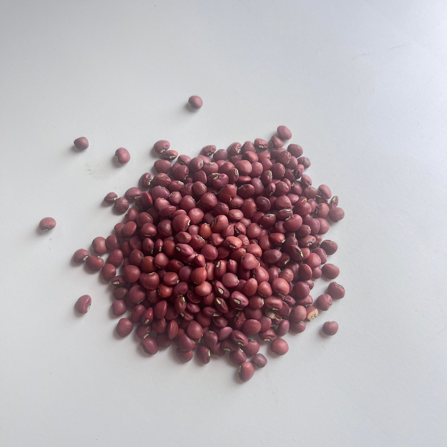 Cow Peas