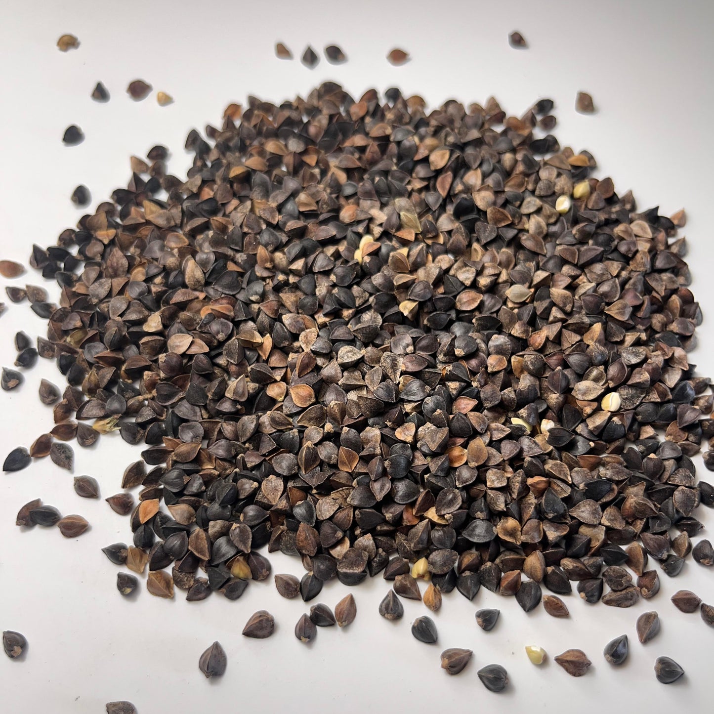 Buckwheat