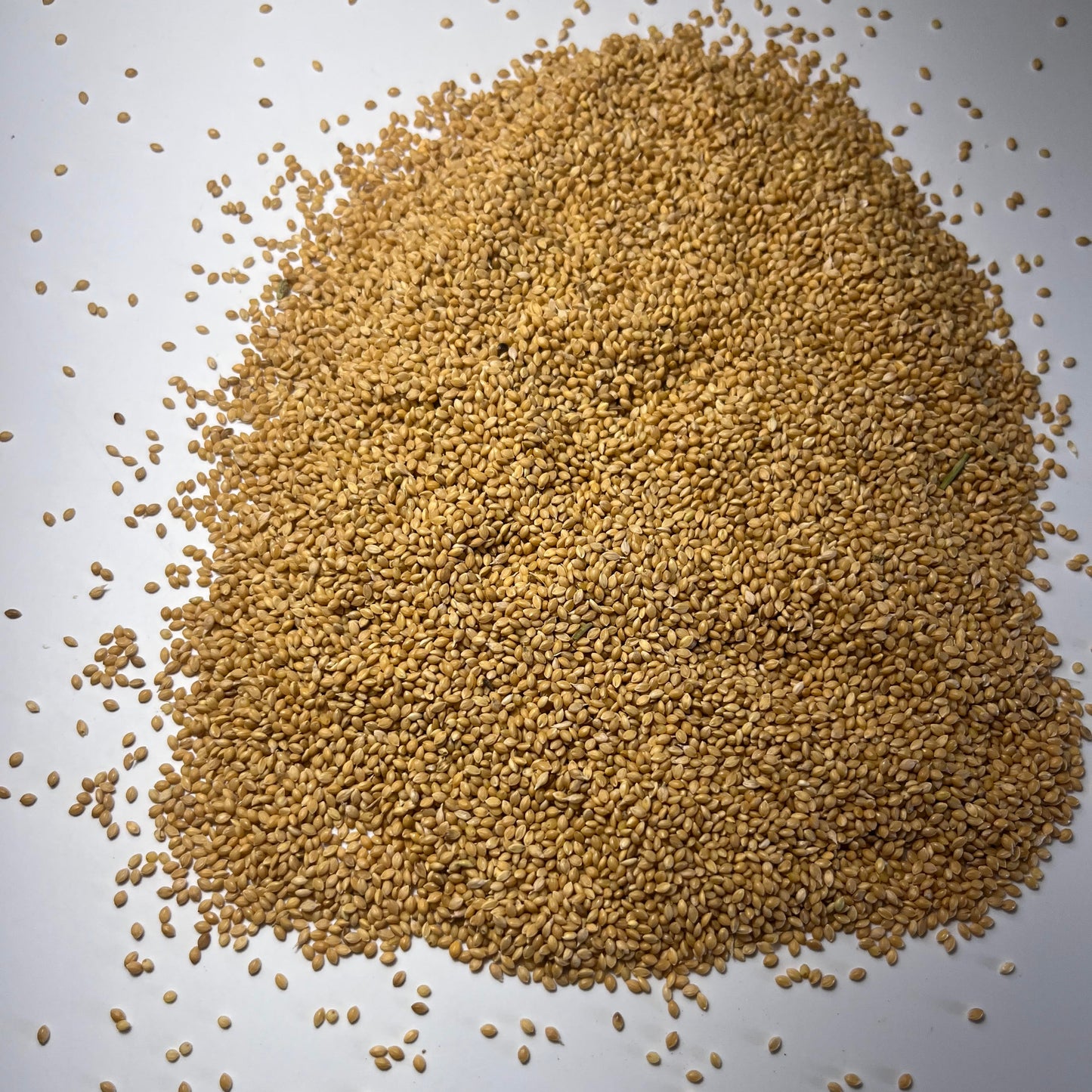 German Millet