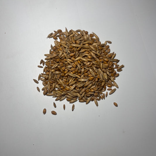 Grainline Grove (Wheat, Oats, Rye)