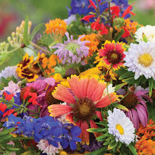 Colorful bouquet of various flowers including daisies and sunflowers.
