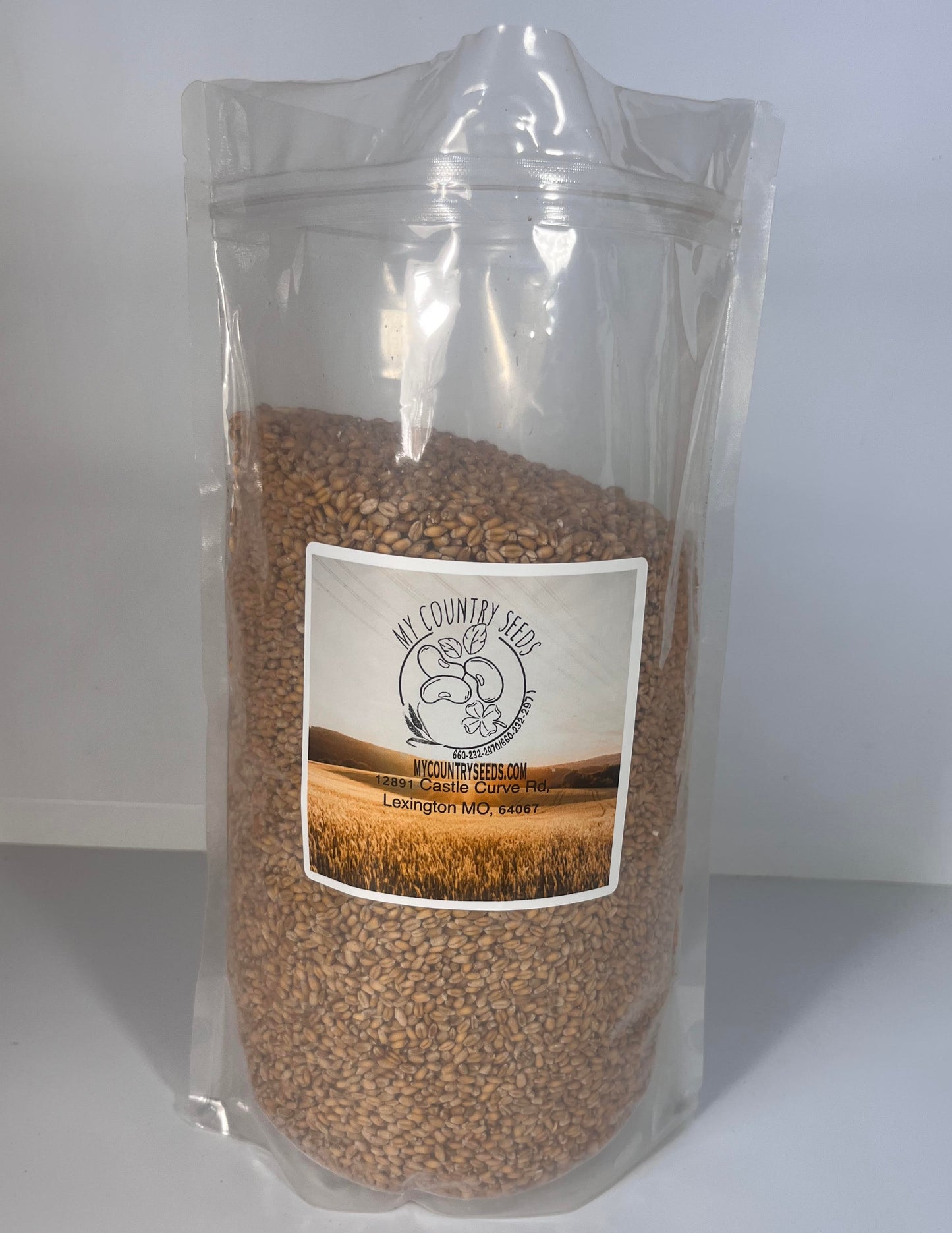 Barley