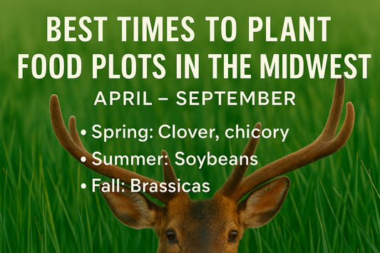 Best Times to Plant Food Plot in the Midwest