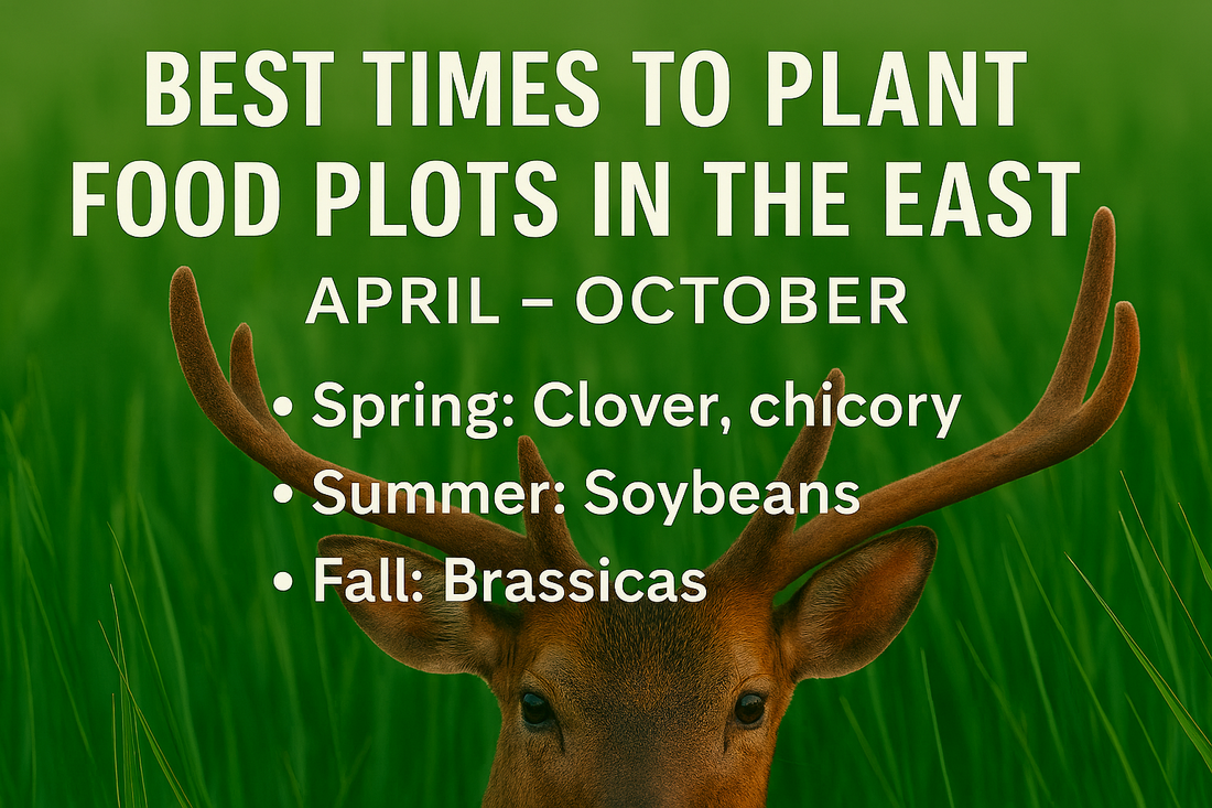 Best Times to Plant Food Plots in the East