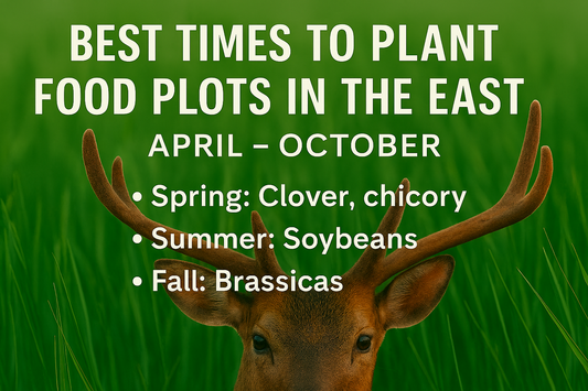 Best Times to Plant Food Plots in the East