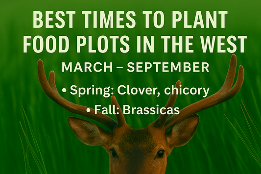 Best Times to Plant Food Plots in the West