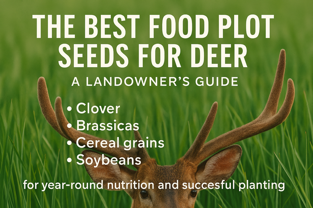 The Best Food Plot Seeds for Deer: A Landowner's Guide