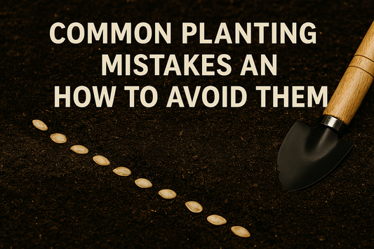 Common Planting Mistakes and How to Avoid Them | My Country Seeds