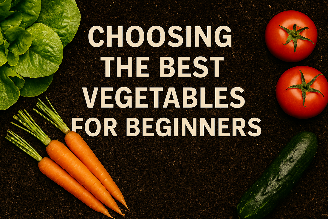 Choosing the Best Vegetables for Beginners | Easy Crops to Grow