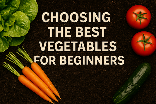 Choosing the Best Vegetables for Beginners | Easy Crops to Grow