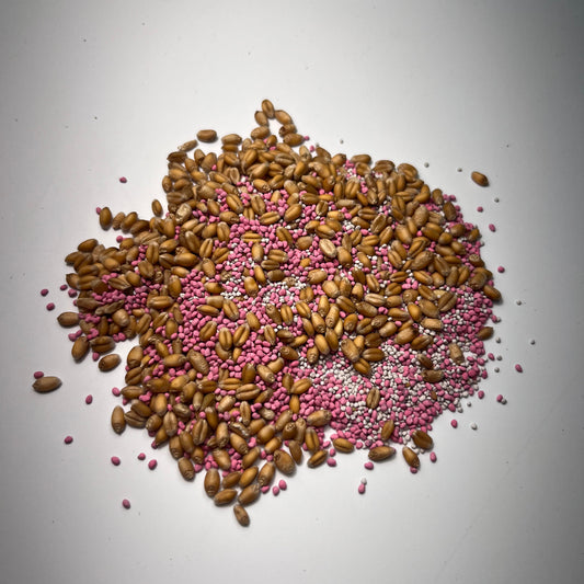 Clover + Grain Grove (Medium Red Clover, White Clover, Wheat)