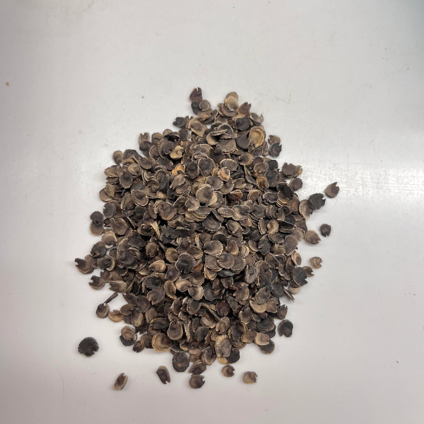 small flower seeds on a white background