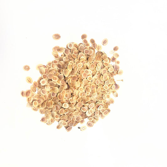 Small pile of beige seeds on a white background