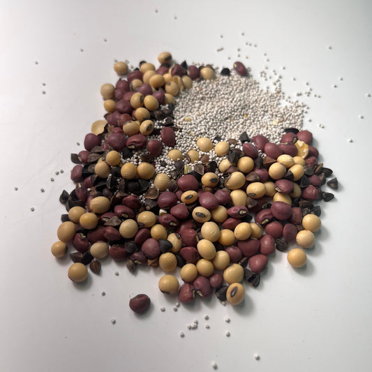 The Velvet Table (Ladino White Clover, Buckwheat, Cowpeas, Forage Soybeans)