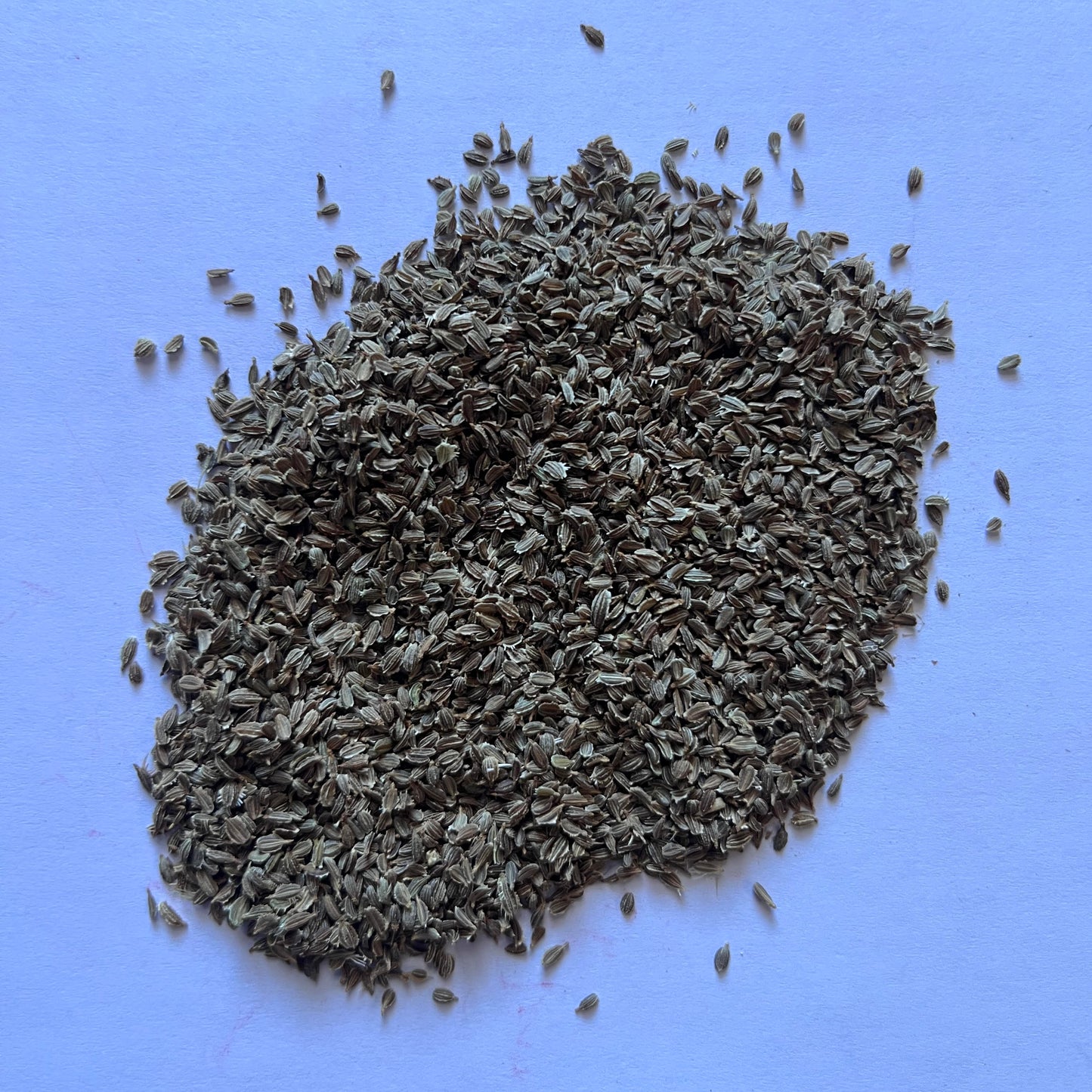 Tender Sweet Carrots