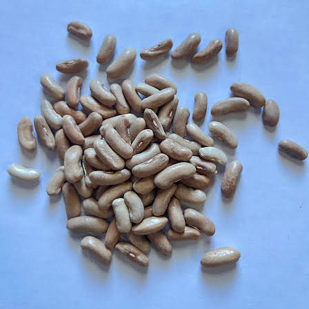 Contender Green Bean