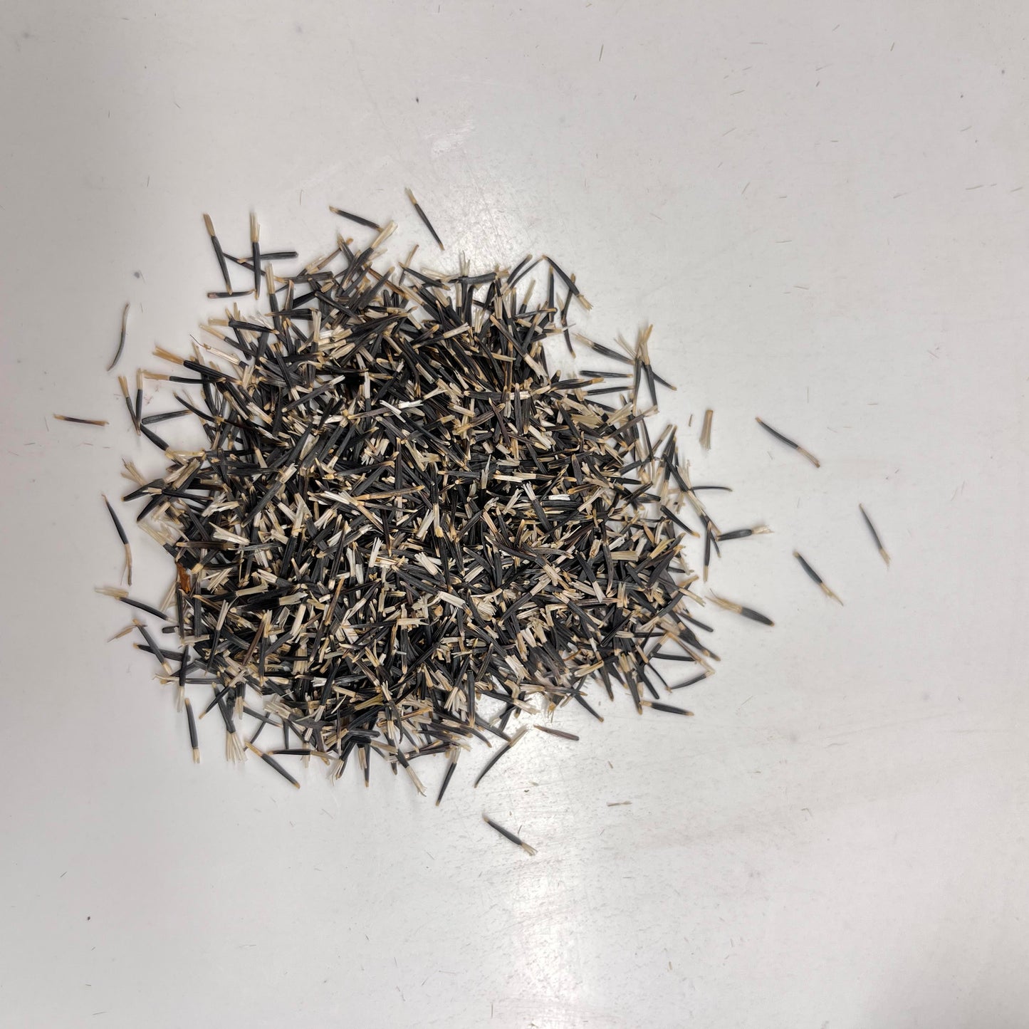 Dry herbs or seeds on a light gray surface