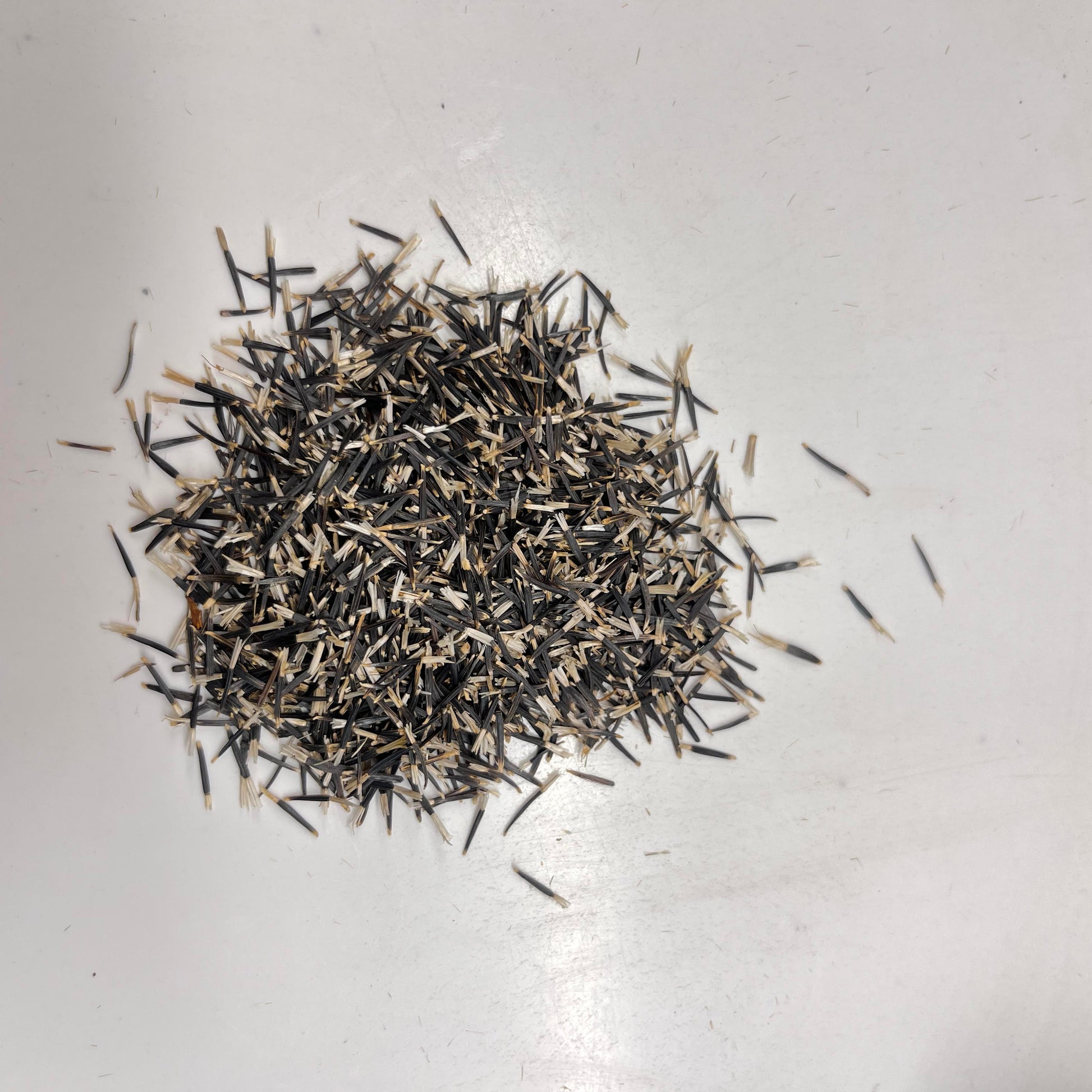 Dry herbs or seeds on a light gray surface