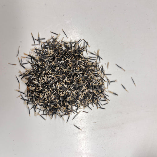 Dry herbs or seeds on a light gray surface