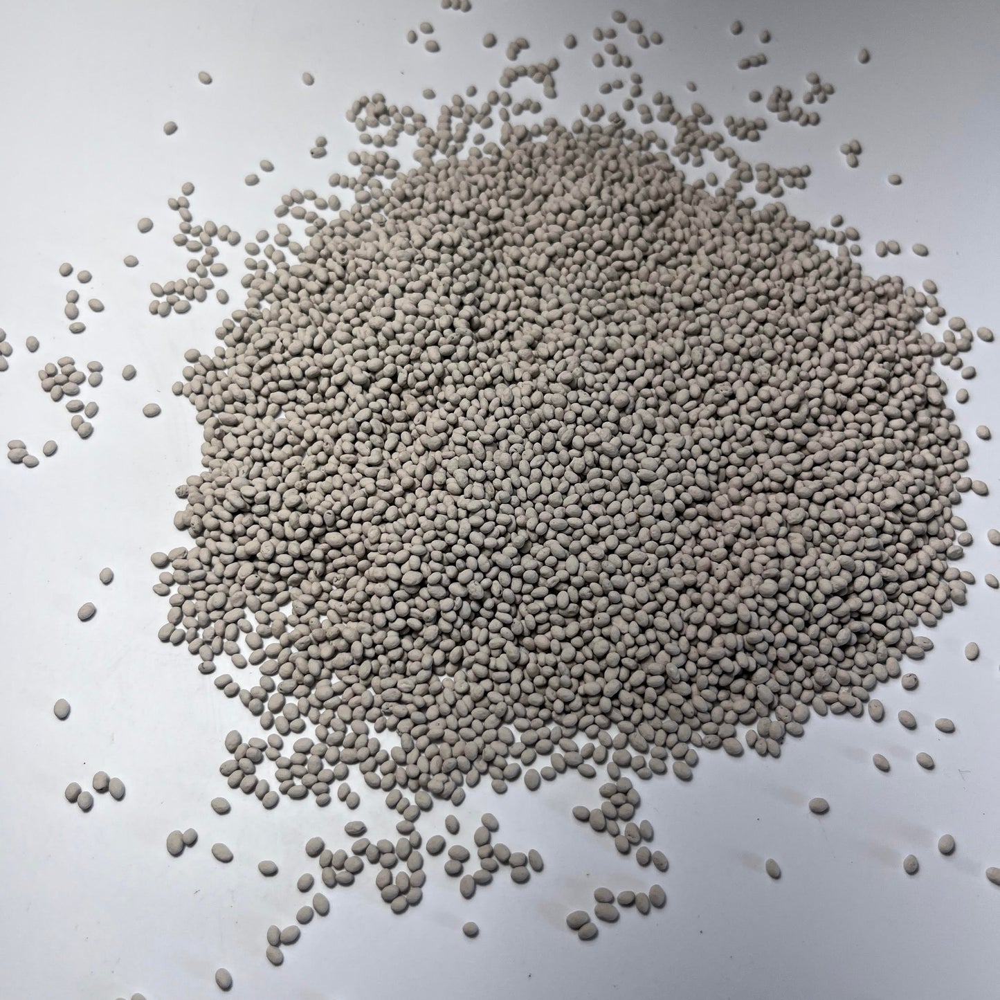 Medium Red Clover
