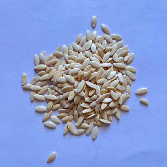 Burpless 26 F1 Cucumbers