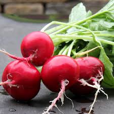 German Giant Radishes