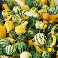 Small Mix Gourds