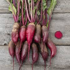 Cylindra Beets