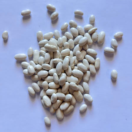 Blue Lake FM1K Snap Pole Bean