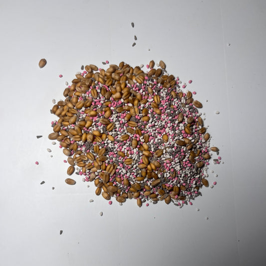 Gamebird Cove (Ladino White Clover, Medium Red Clover, Chicory, Alfalfa, Wheat)