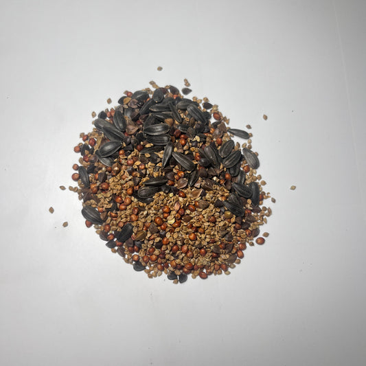 Goblin Grain Grove (Japanese Millet, Sorghum Sudan, Sunflowers, Buckwheat)