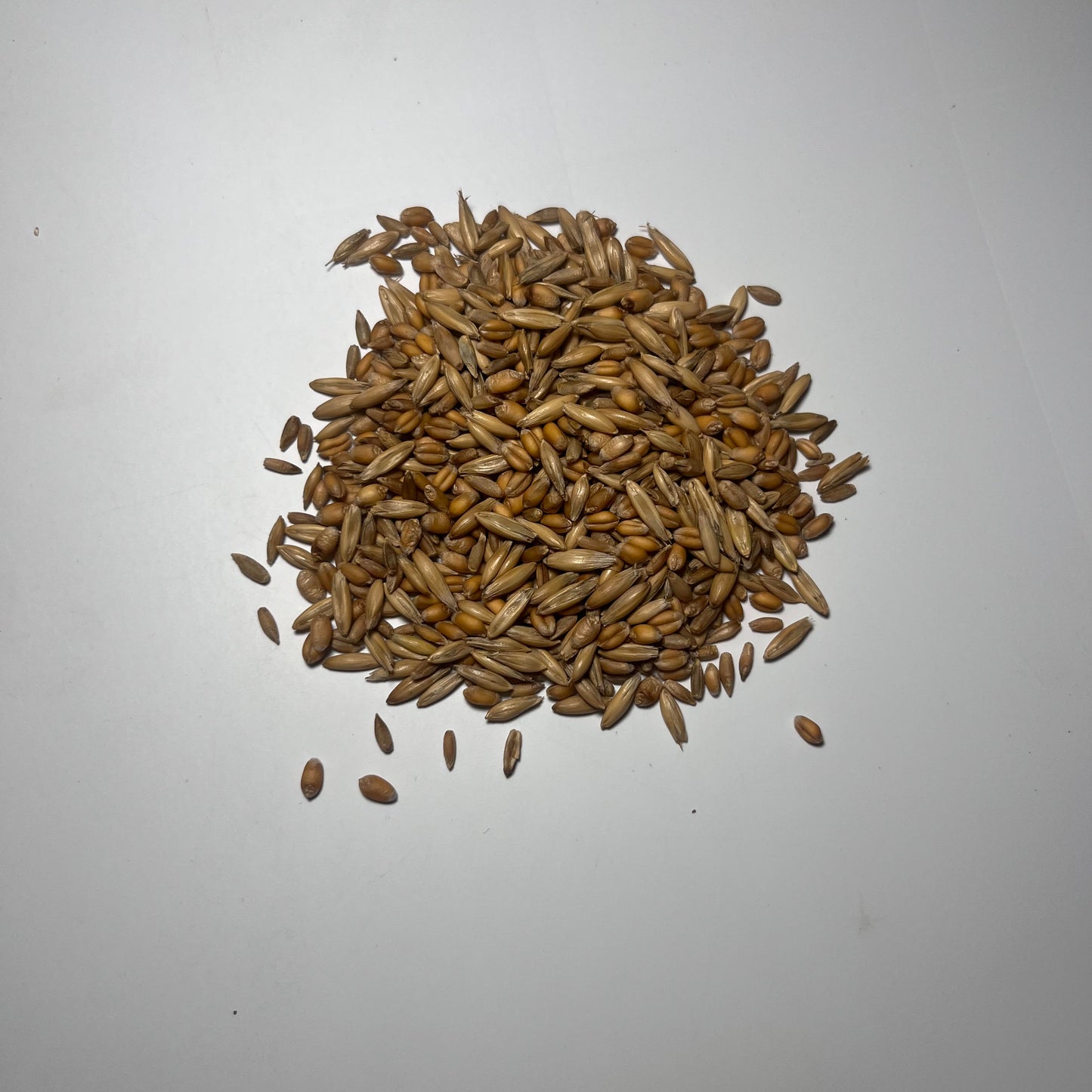 Grainline Grove (Wheat, Oats, Rye)