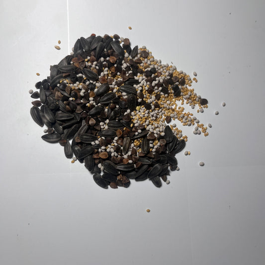 Habitat Hush (Buckwheat, Sunflowers, Golden Millet, Crimson Red Clover)