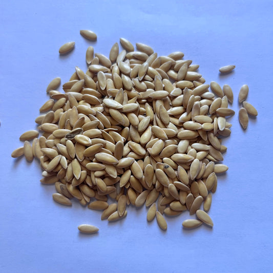 Hale's Best Jumbo Cantaloupe