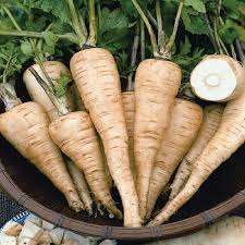 Basket of parsnips with green tops on a wooden surface