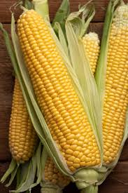 Incrediable F1 Treated Corn
