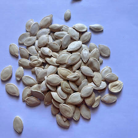 Jake-O-Lantern Pumpkin