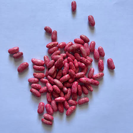 Jade Green Bean (Treated)