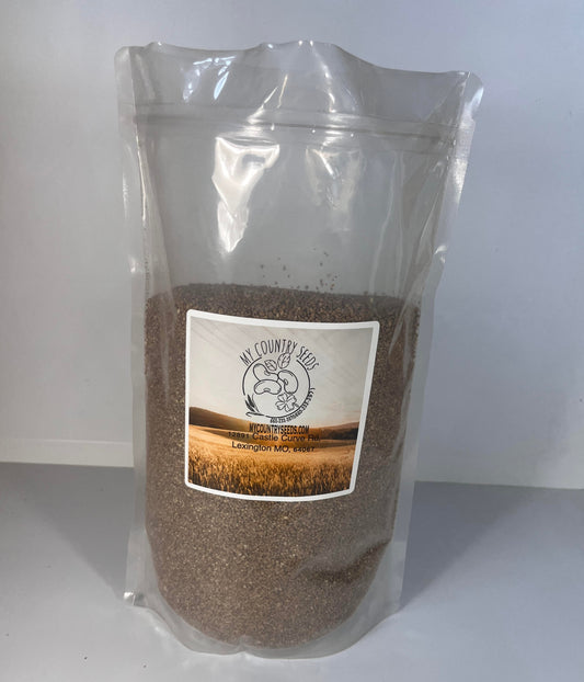 Japanese Millet