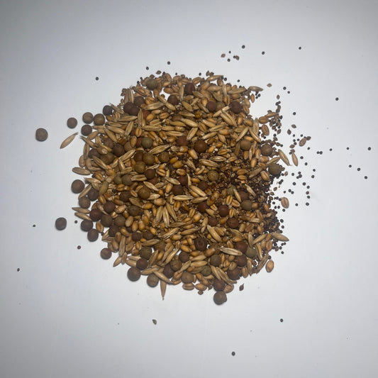 Mallard Haven (Japanese Millet, Wheat, Oats, Austrain Winter Peas, Purple Top Turnips)