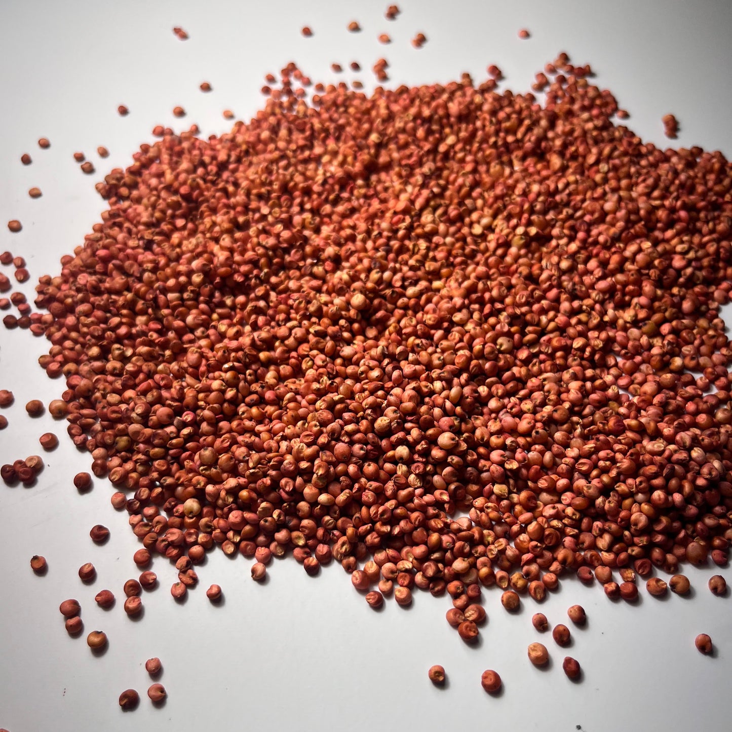 Flood Plain Feast (Japanese Millet, Milo, Buckwheat, Whole Corn, Sunflowers)