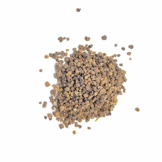 Small pile of brown seeds on a white background