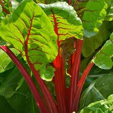 Close-up of Swiss chard leaves with red stems and green leaves.