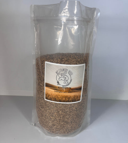 Rye
