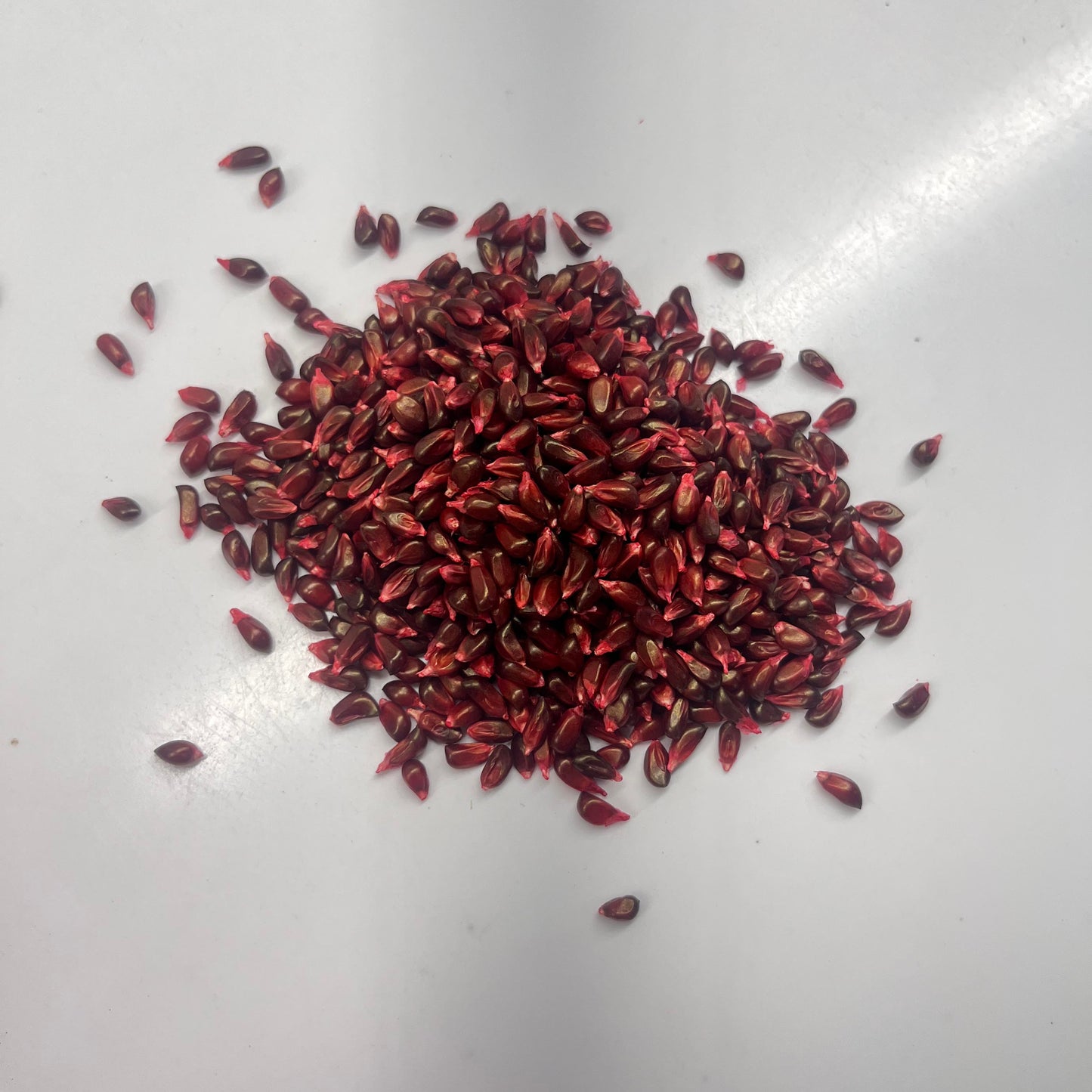 Red seeds on a white surface