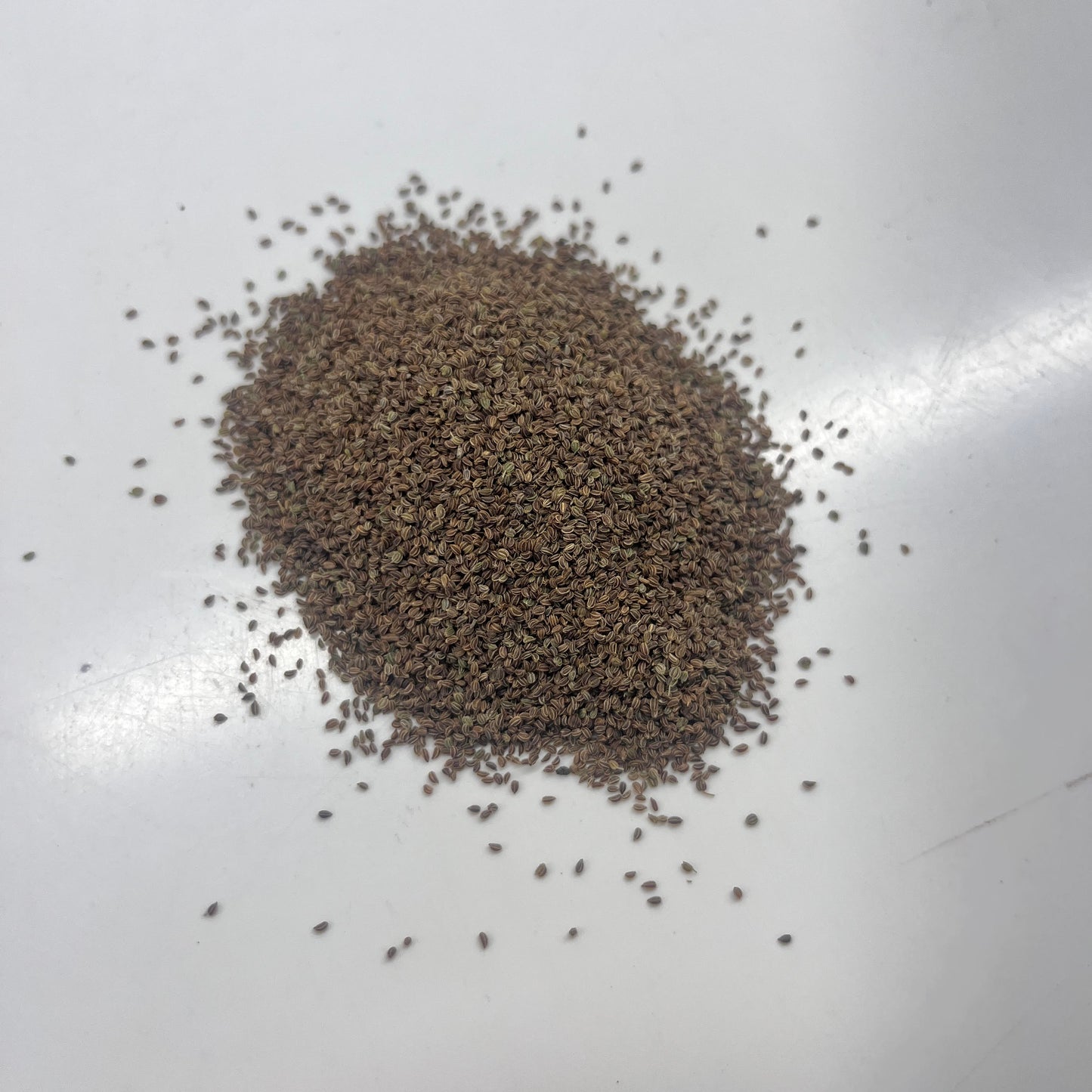 Brown seeds scattered on a white surface