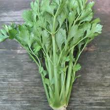 Bunch of fresh celery on a wooden surface
