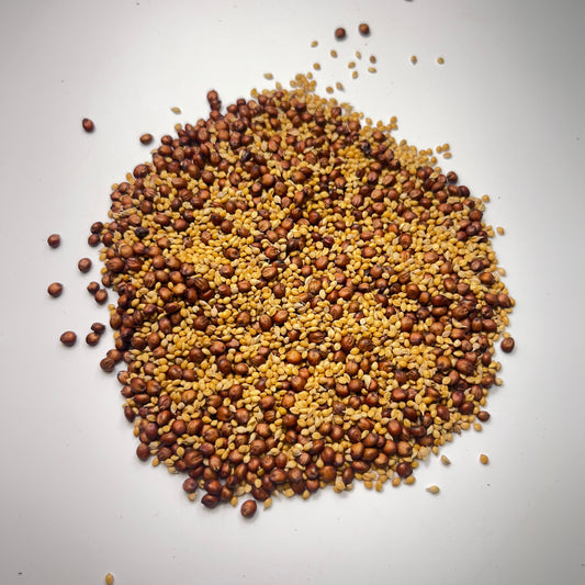 Tallgrass Table (Sorghum Sudan, Golden Millet)