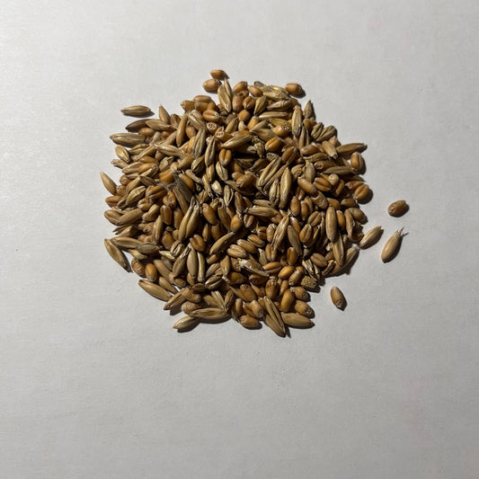 Whitetail Wheatland (Wheat, Oats, Barley)