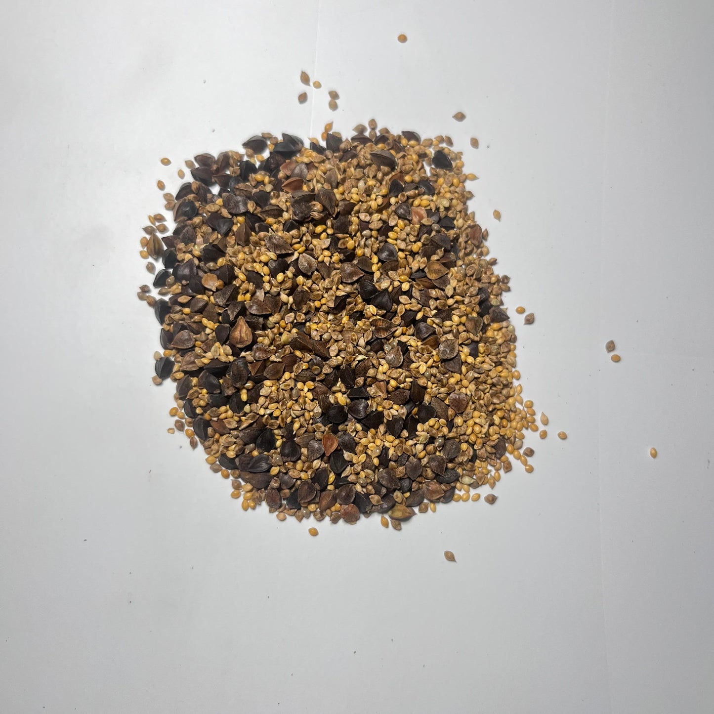 Wing Root Wild (Japanese Millet, Buckwheat, Golden Millet)
